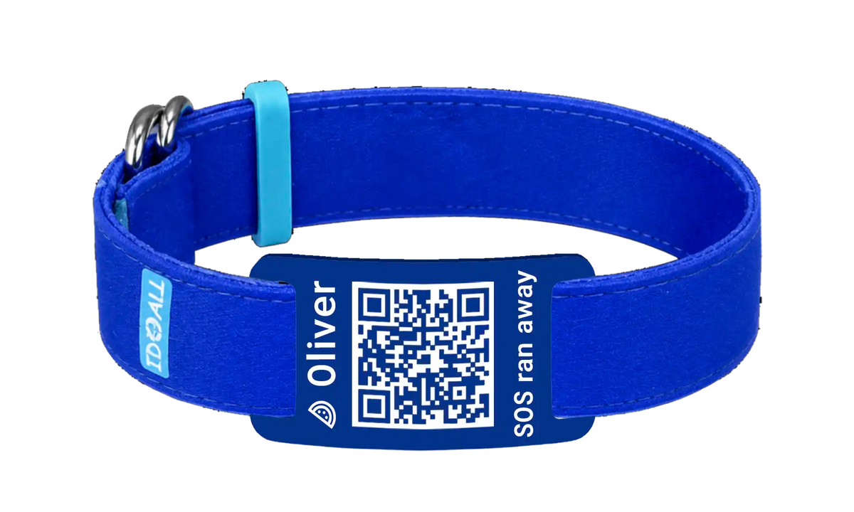 Blau QR-Code