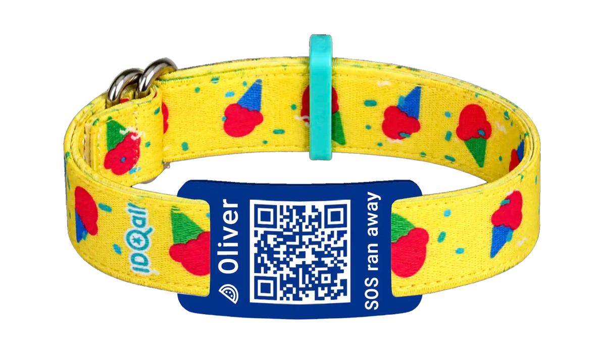 Eis QR-Code