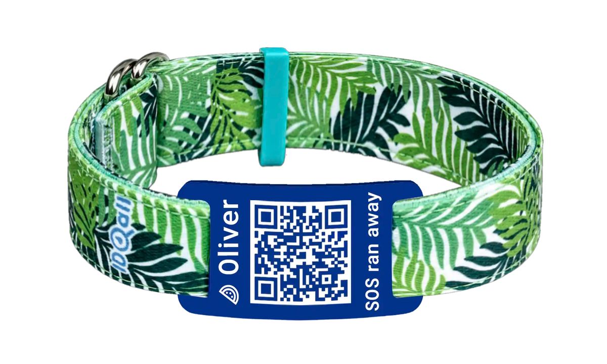 Dschungel QR-Code