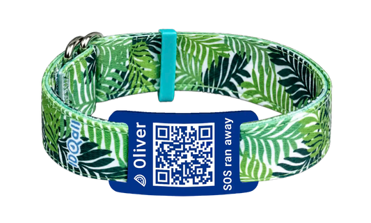 Dschungel QR-Code