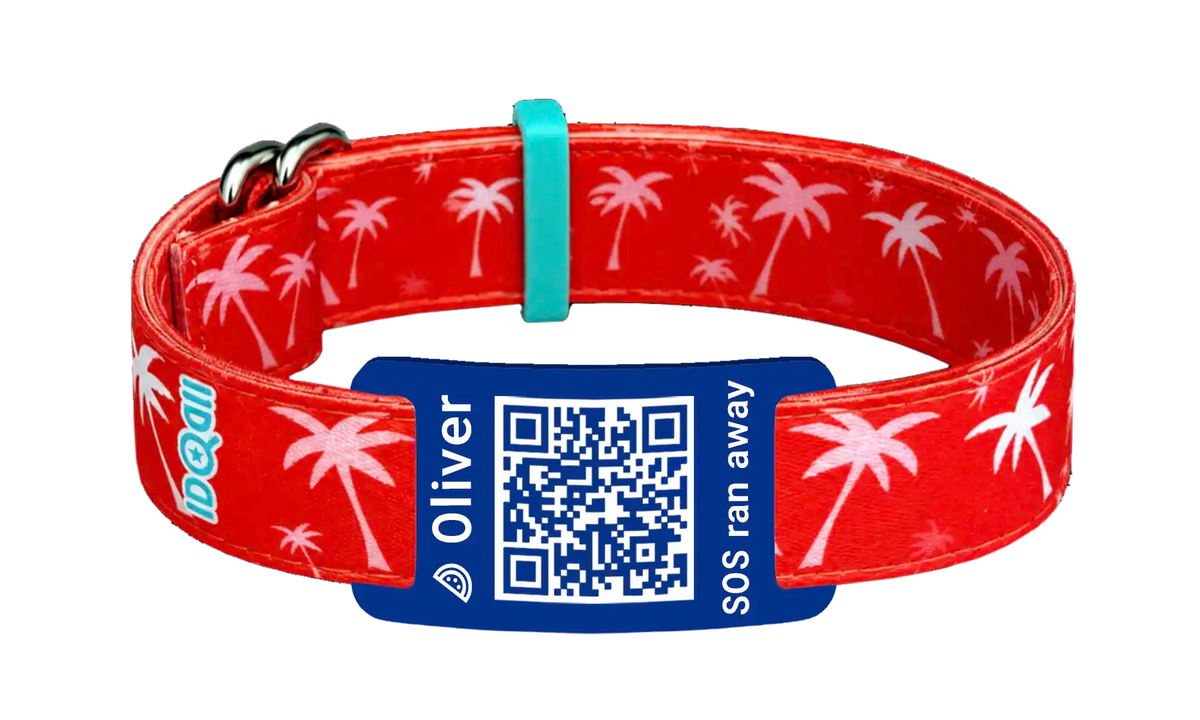 Palme QR-Code